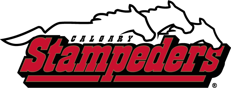 calgary stampeders 2000-2011 wordmark logo v2 t shirt iron on transfers